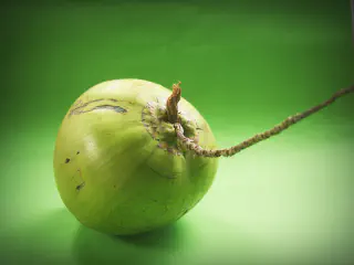 is Coconut Water Good for You