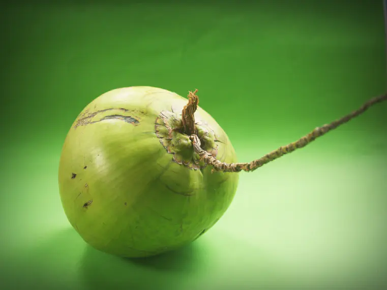 is Coconut Water Good for You