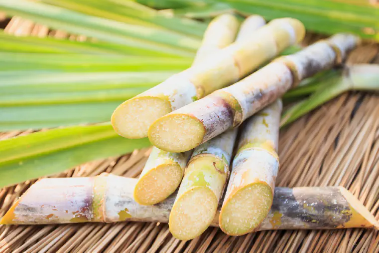 is Sugarcane Juice Good for Weight Loss